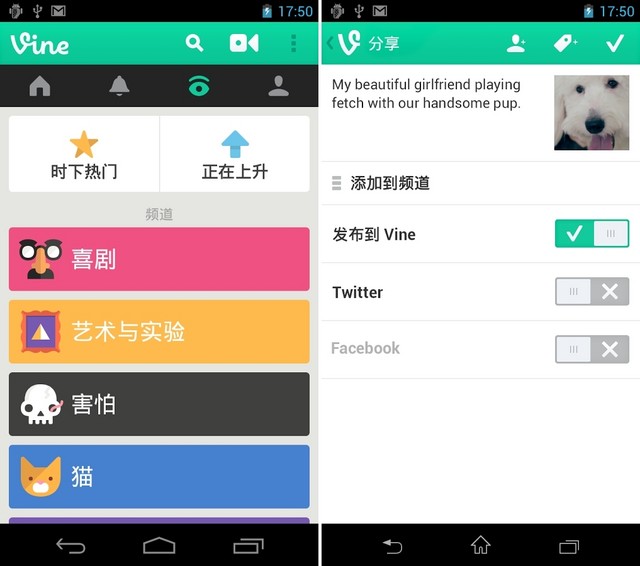 whatsapp安卓版_whatsapp安卓版_安卓版whatsapp下载