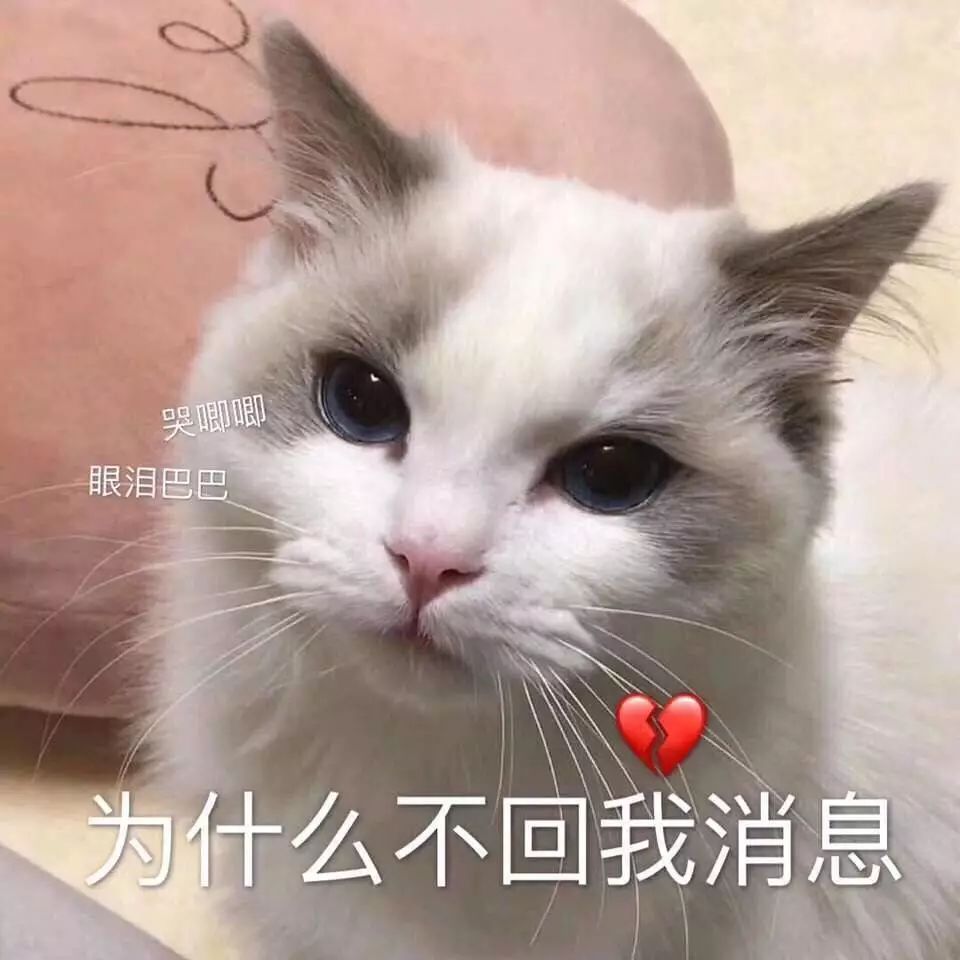 whatsapp聊天背景_whatsapp聊天壁纸_whatsapp如何聊天