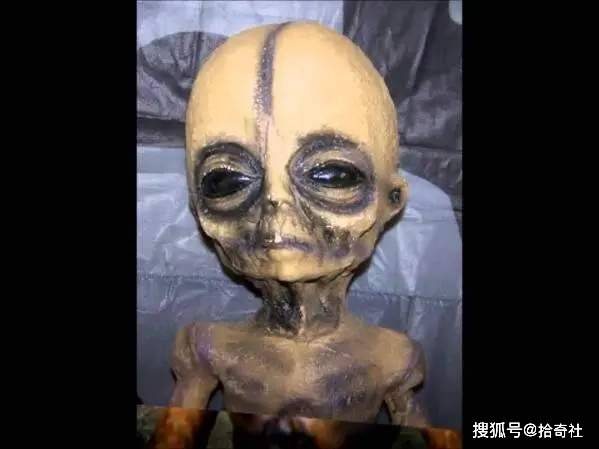 公司是什么意思_公司是企业吗_whatsapp是那个公司