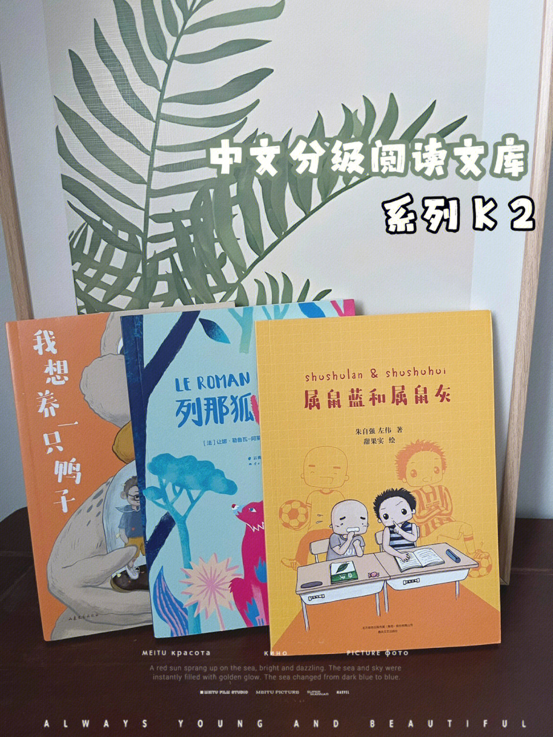 中文版手机电子琴免费下载_中文版手机SDR软件_whatsapp中文手机版