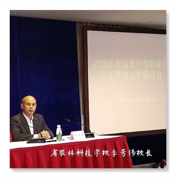 官网下载安装_whatsapp官网下载_官网下载app豌豆荚