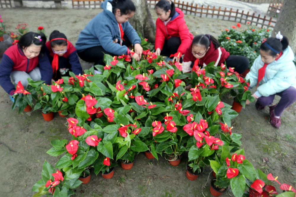 动态图片下载风景_动态图片下载写轮眼_whatsapp动态图片下载