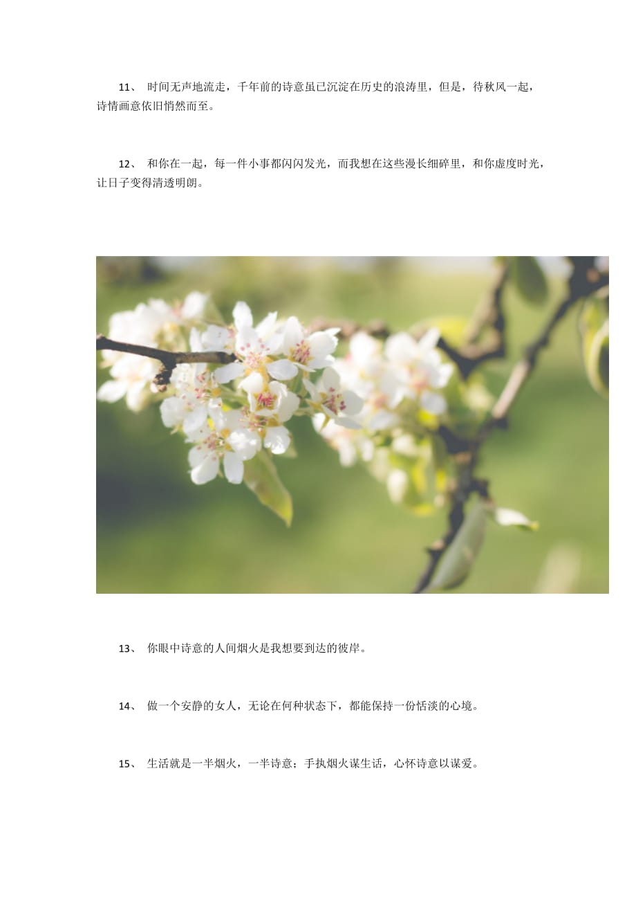 中文版手机电子琴_中文版手机电子琴免费下载_whatsapp中文手机版