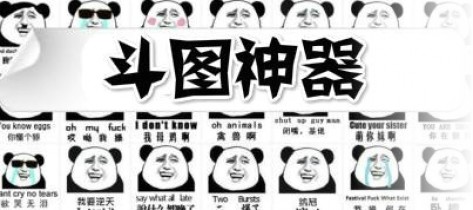 中文版手机电子琴安装_whatsapp中文手机版_中文版手机电子琴免费下载