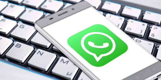 最新下载的文件在哪找_最新下载的文件找不到_whatsapp下载最新