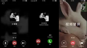 官方下载whatsapp_whatsapp官网免费下载_whatsapp官网版中文下载