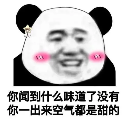 最新版whatsapp官网_最新版whatsapp版本_whatsapp最新版