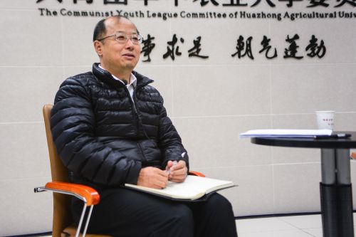 官网下载拼多多_whatsapp官网下载_官网下载安装