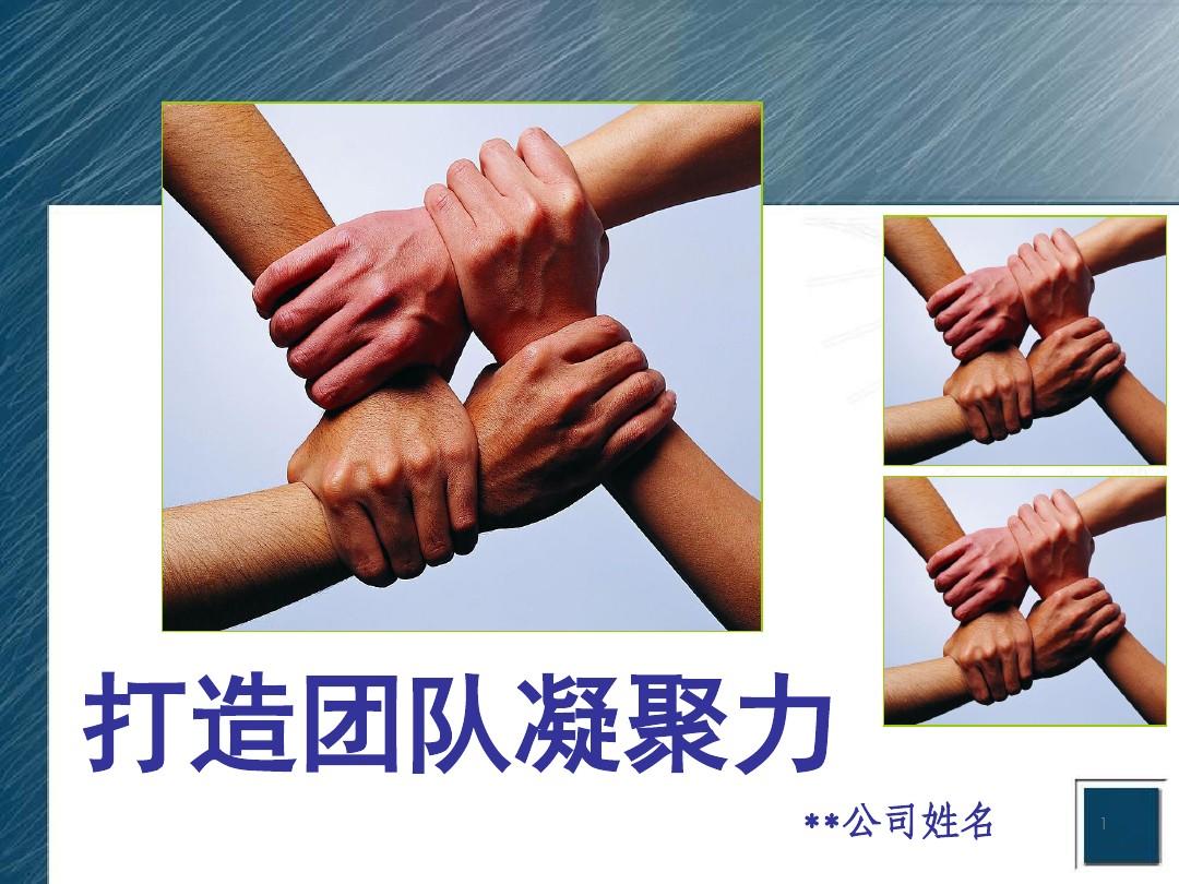 公司是我家_whatsapp是那个公司_公司是企业吗