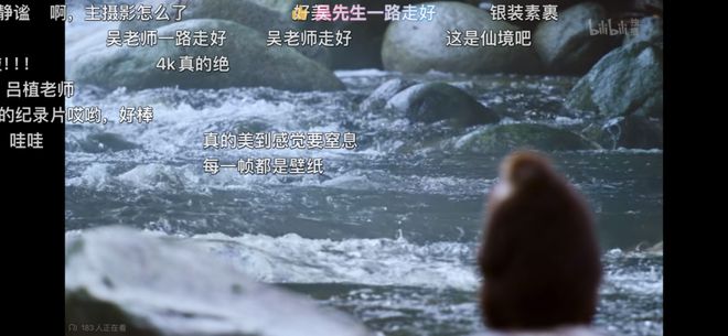 whatsapp官方下载_whatsapp中文叫什么_whatsapp