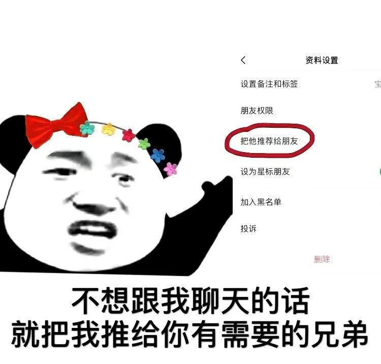 安卓版whatsapp下载_whatsapp安卓版_whatsapp安卓版