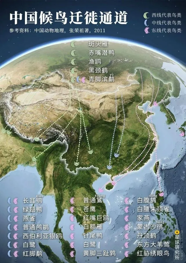 whatsapp是那国家_国家是什么概念_国家是怎么产生的