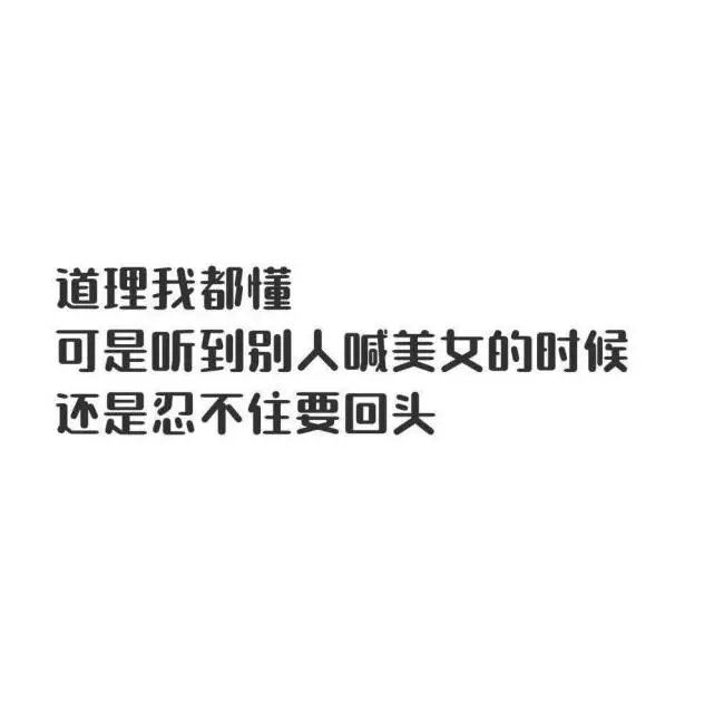 whatsapp聊天软件_whatsapp是什么_whatsapp如何聊天