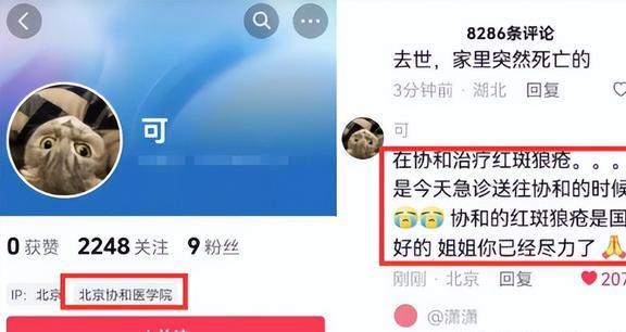 使用权资产的账务处理_whatsapp怎么使用？_使用公筷公勺的宣传语