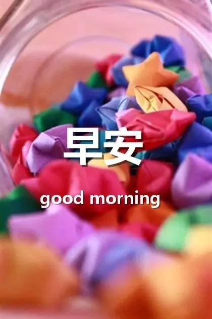 官方whatsapp下载安装_官方whatsapp网站_whatsapp官方app