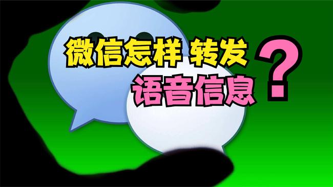 正版官方的浙江风采网_正版官方天气预报下载_whatsapp官方正版