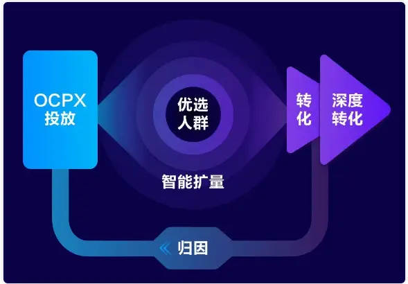 whatsapp是属于什么_whatsapp是免费的吗_属于是是什么意思