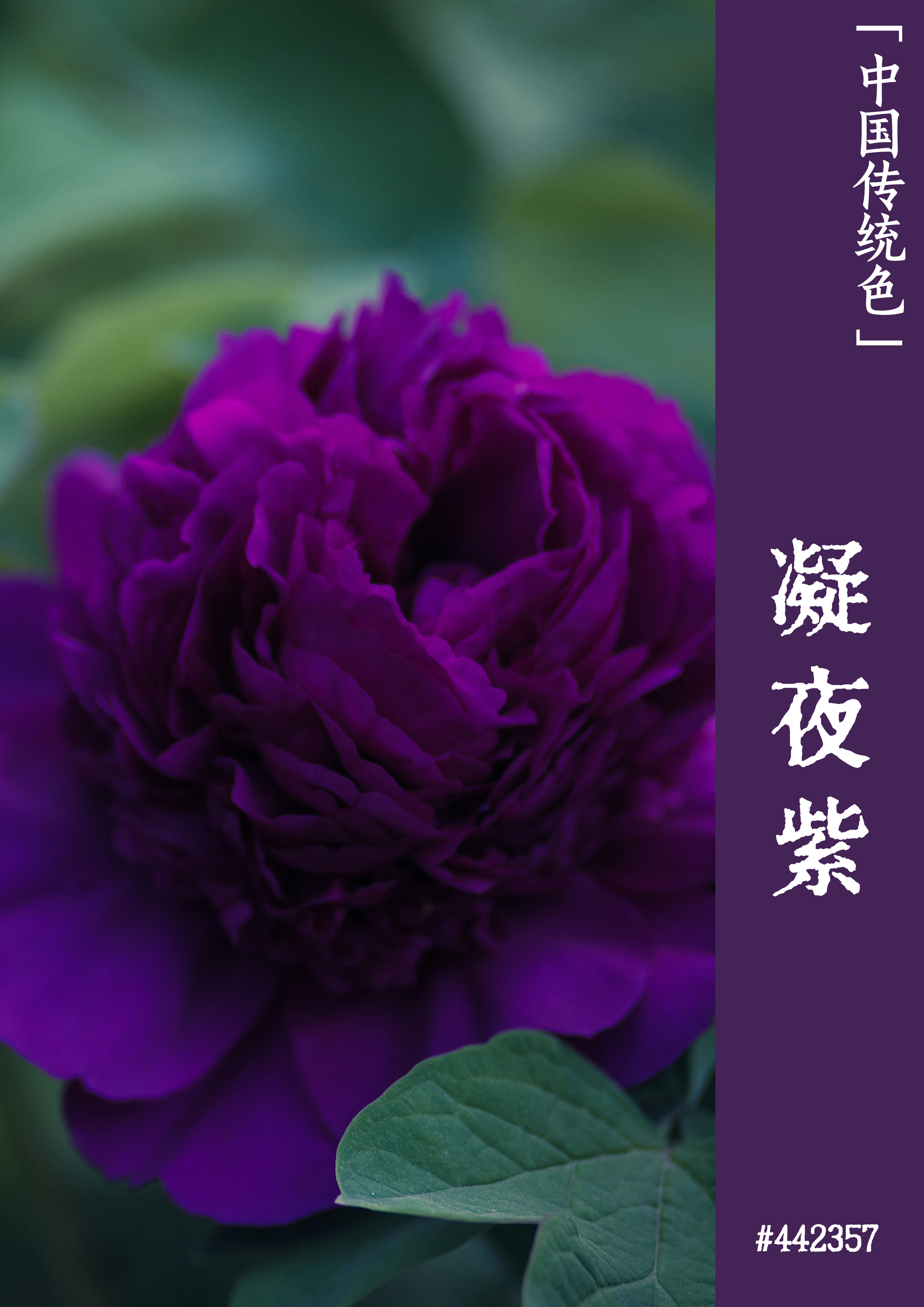 官网下载app豌豆荚_官网下载拼多多_whatsapp官网下载