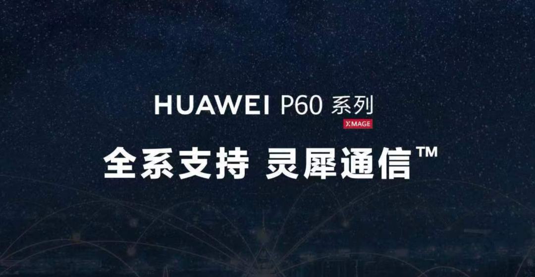公司是企业吗_whatsapp是那个公司_公司是我家