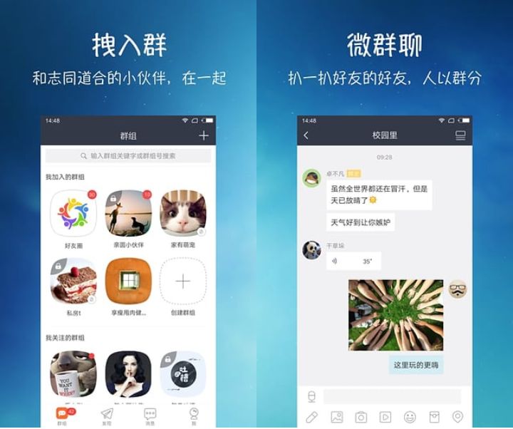 whatsapp官网下载_官网下载app豌豆荚_官网下载安装