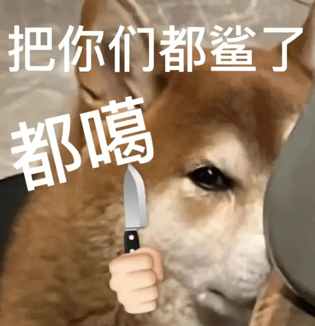 聊天软件_whatsapp如何聊天_whatsapp聊天软件