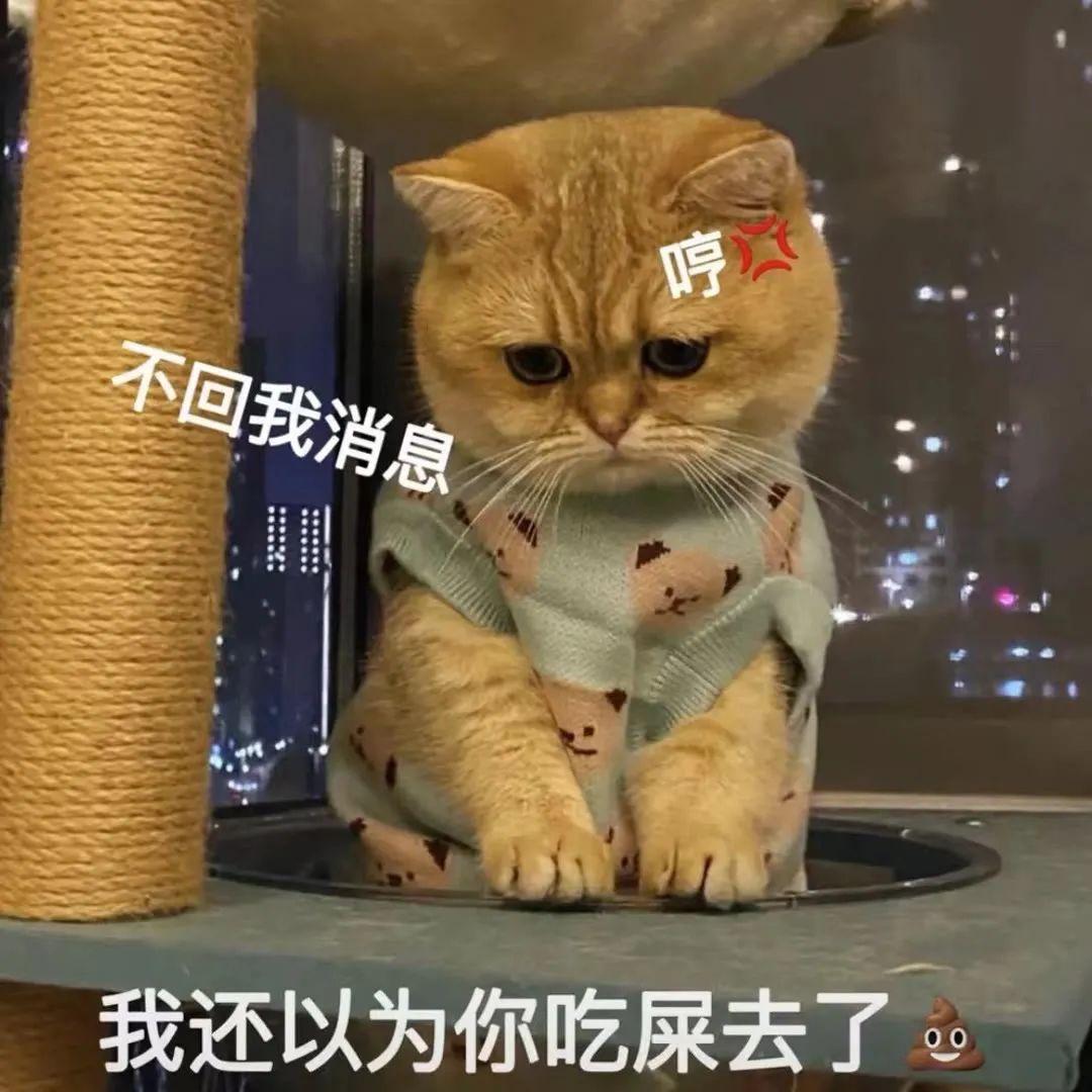 whatsapp如何聊天_whatsapp聊天软件_聊天软件