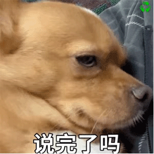 whatsapp聊天软件_whatsapp如何聊天_聊天软件