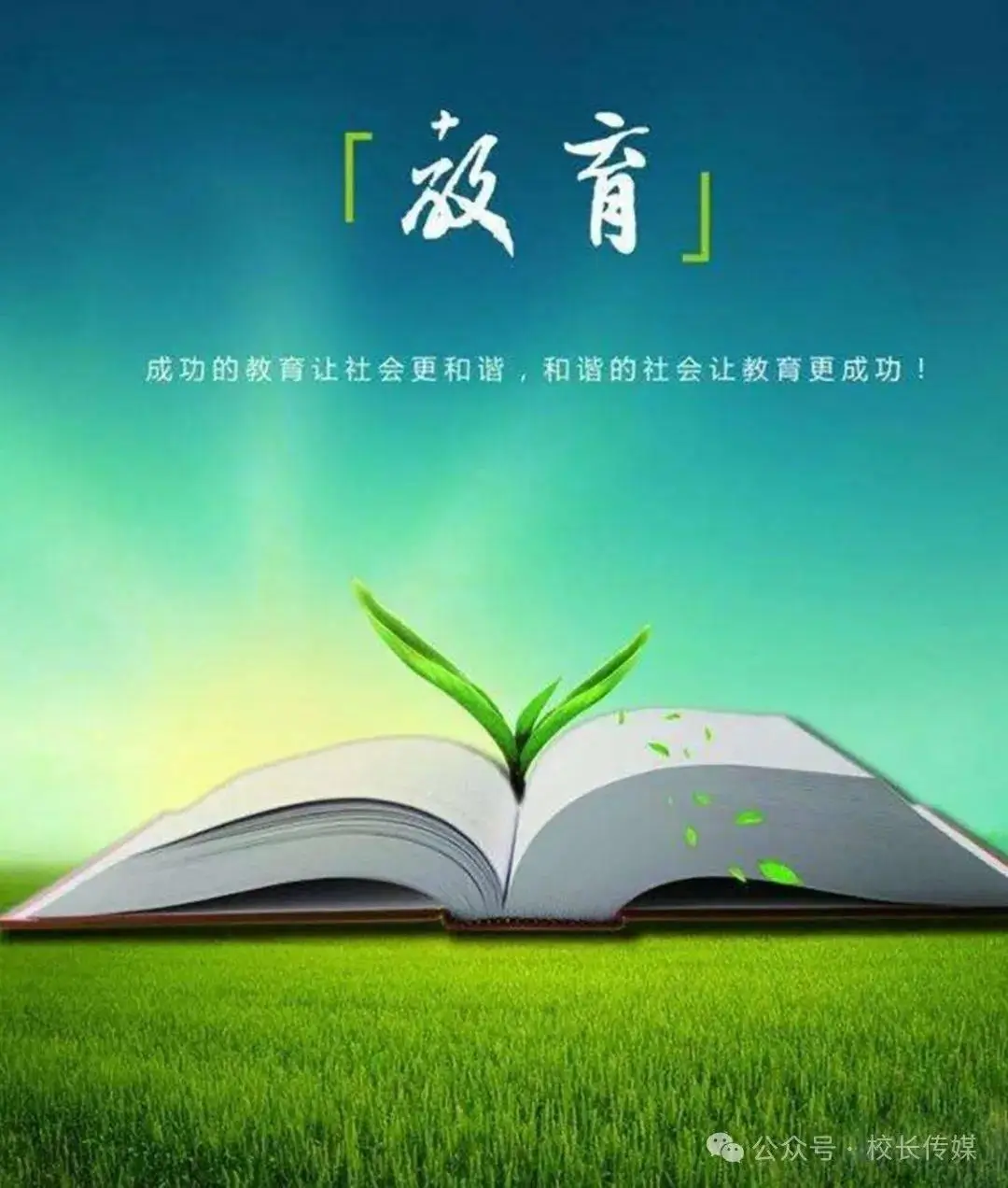 whatsapp怎么下载官网_官网下载波克捕鱼_官网下载安装
