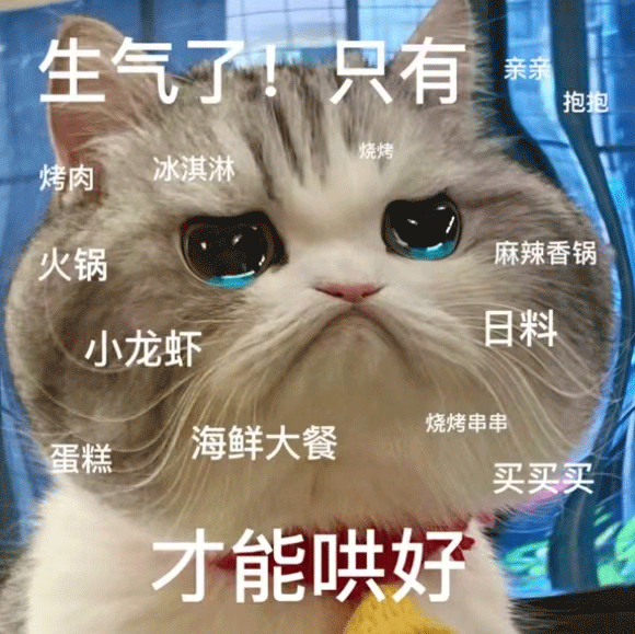 whatsapp_whatsapp如何聊天_whatsapp聊天背景