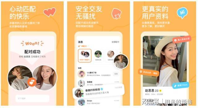whatsapp中文最新版-WhatsApp中文最新版：界面
