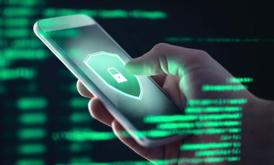 whatsapp下载_苹果下载whatsapp_下载whatsapp安卓版