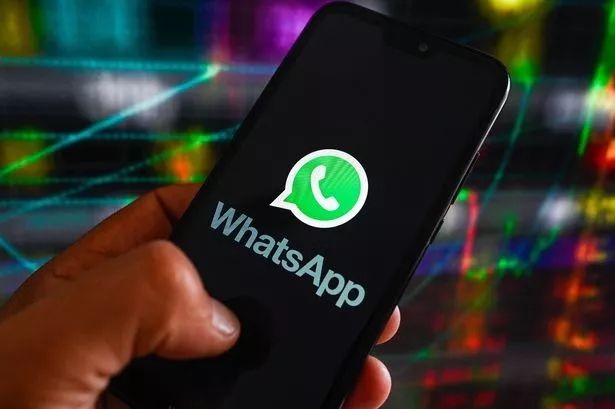 官方whatsapp免费下载_whatsapp官方app_官方whatsapp下载不了