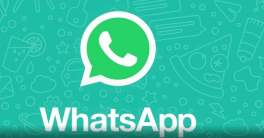 西柚属于是_whatsapp是什么的缩写_whatsapp是属于什么