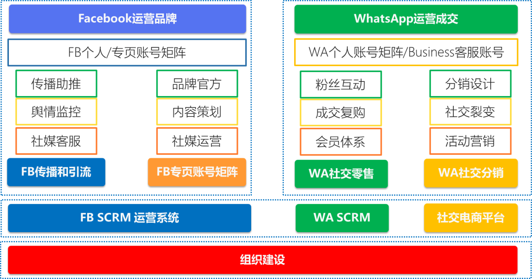 whatsapp是什么的缩写_西柚属于是_whatsapp是属于什么