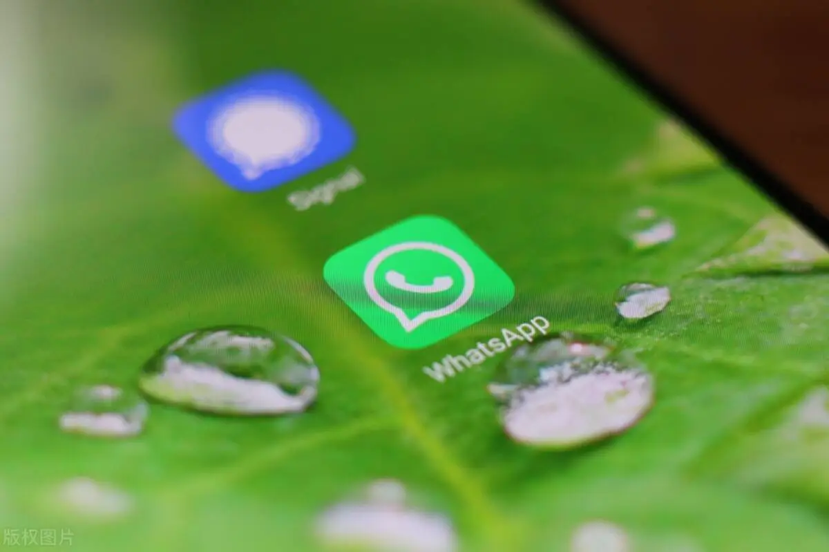 whatsapp最新版_最新版whatsapp官网_whatsapp最新版