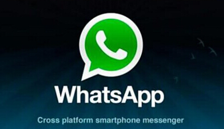 whatsapp是那个公司_公司是什么意思_公司是法人吗