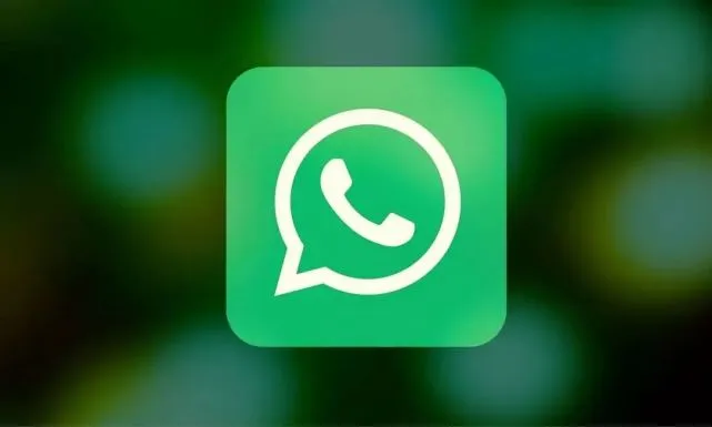 安卓版whatsapp下载_whatsapp安卓版_whatsapp安卓版