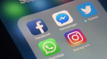 whatsapp是那个公司_公司是企业吗_公司是我家