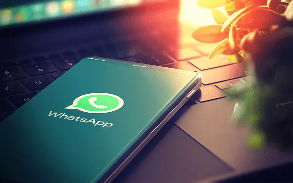 whatsapp官方中文正版_whatsapp国内正版下载_whatsapp中文官网下载