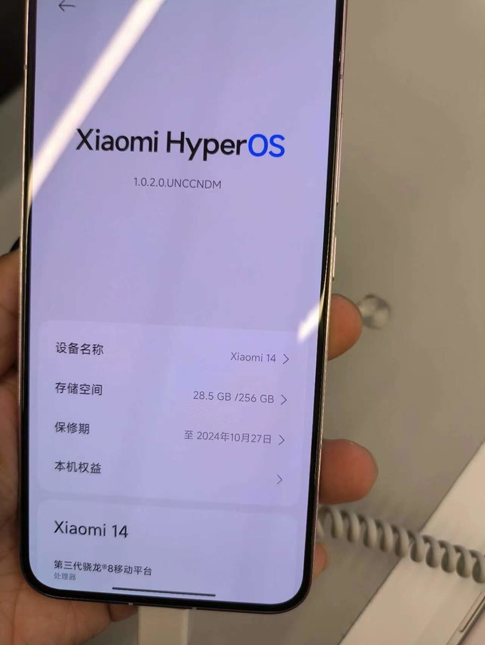 whatsapp安卓版_whatsapp安卓版_安卓版whatsapp下载