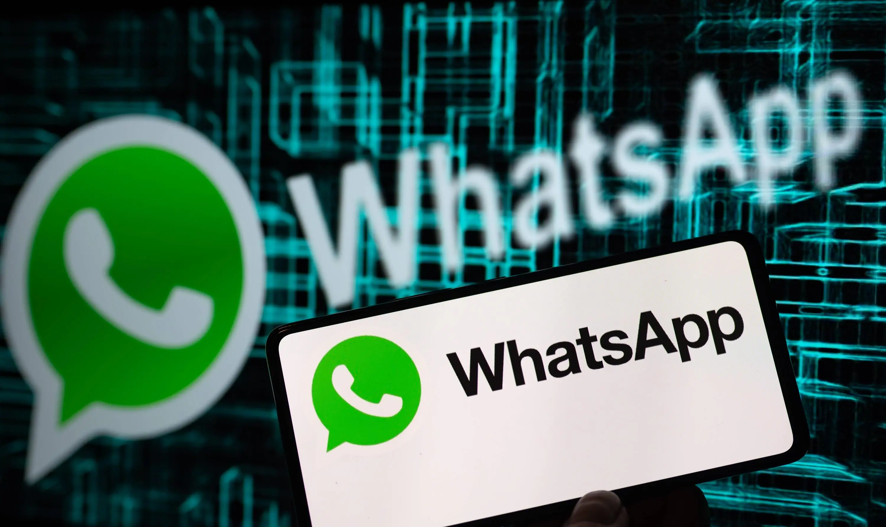 whatsapp怎么下载官网_官网下载app豌豆荚_官网下载的驱动怎么安装