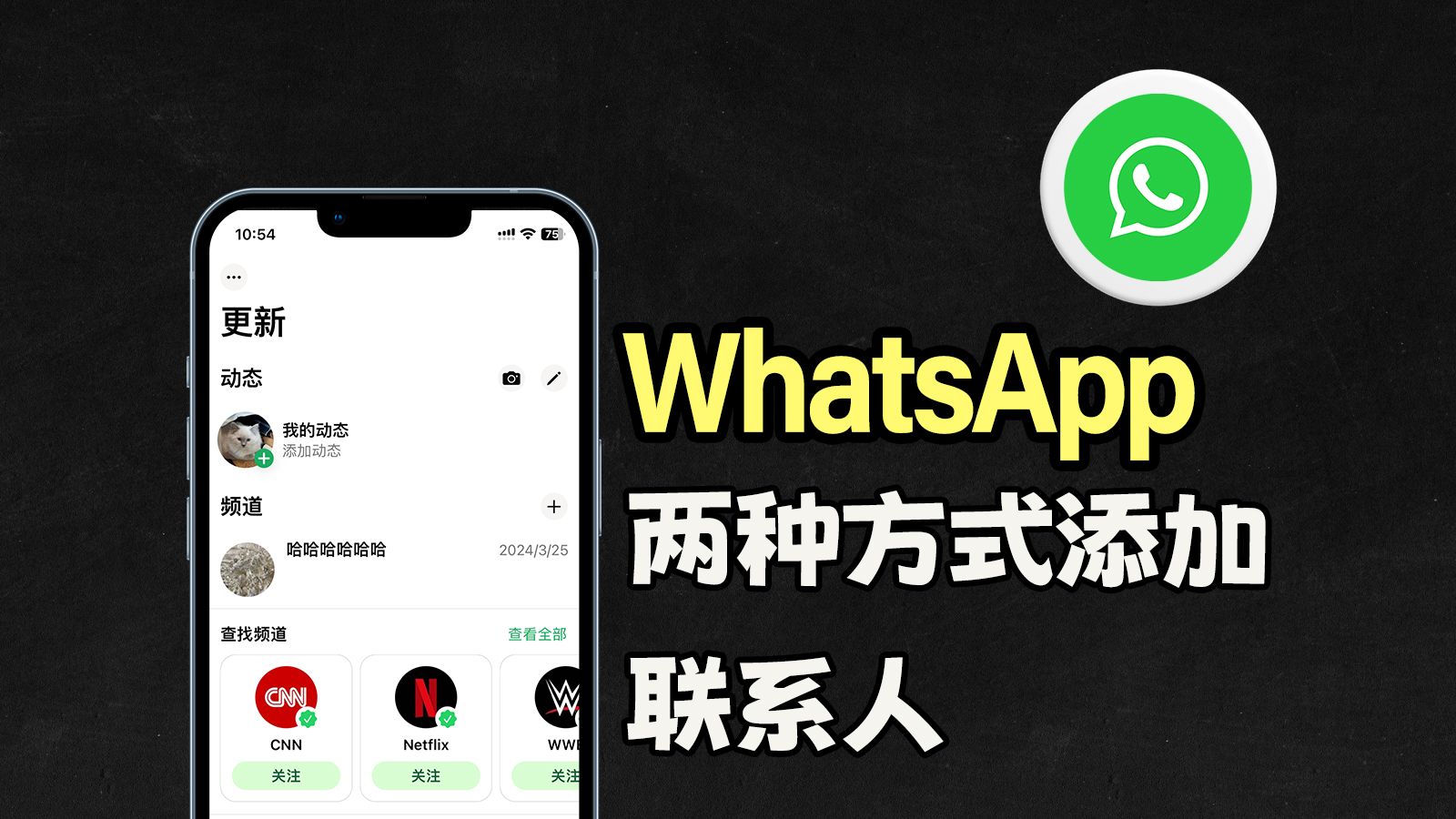 whatsapp如何聊天-WhatsApp：数字时代不可或缺