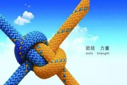 属于是否生产决策的内容有_whatsapp是属于什么_whatsapp是属于什么