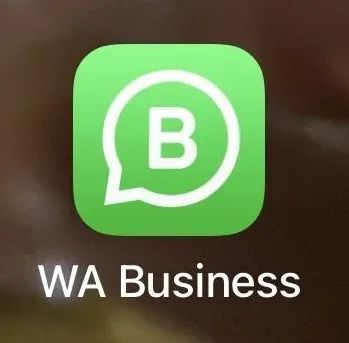 安卓下载whatsapo_安卓下载whatsapp教程_whatsapp安卓下载
