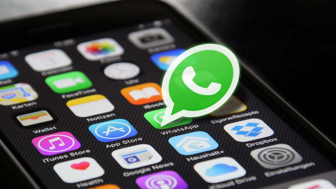 正版下载蛋仔派对_whatsapp正版下载_正版下载鹿未来篇无广告