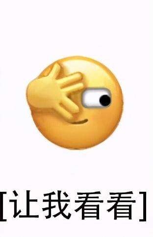 安卓下载whatsapp教程_whatsapp怎么下载安卓_安卓下载whatsapo
