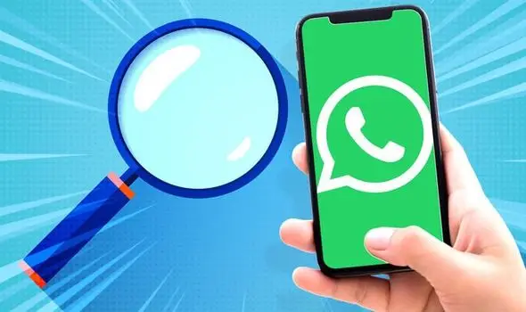 最新下载软件_最新下载2025_whatsapp下载最新