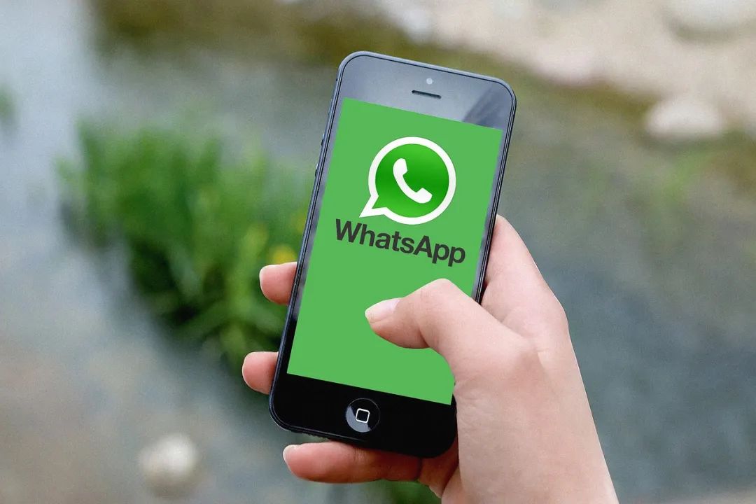 官网whatsapp下载安装_whatsapp官网版载_whatsapp官网下载