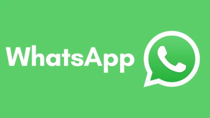 饭团动漫app官网下载版_whatsapp官网免费下载_whatsapp官网版下载