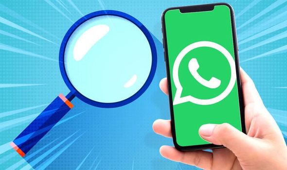 中文最新版樱花校园模拟器_中文最新版樱花校园模拟器下载_whatsapp中文最新版